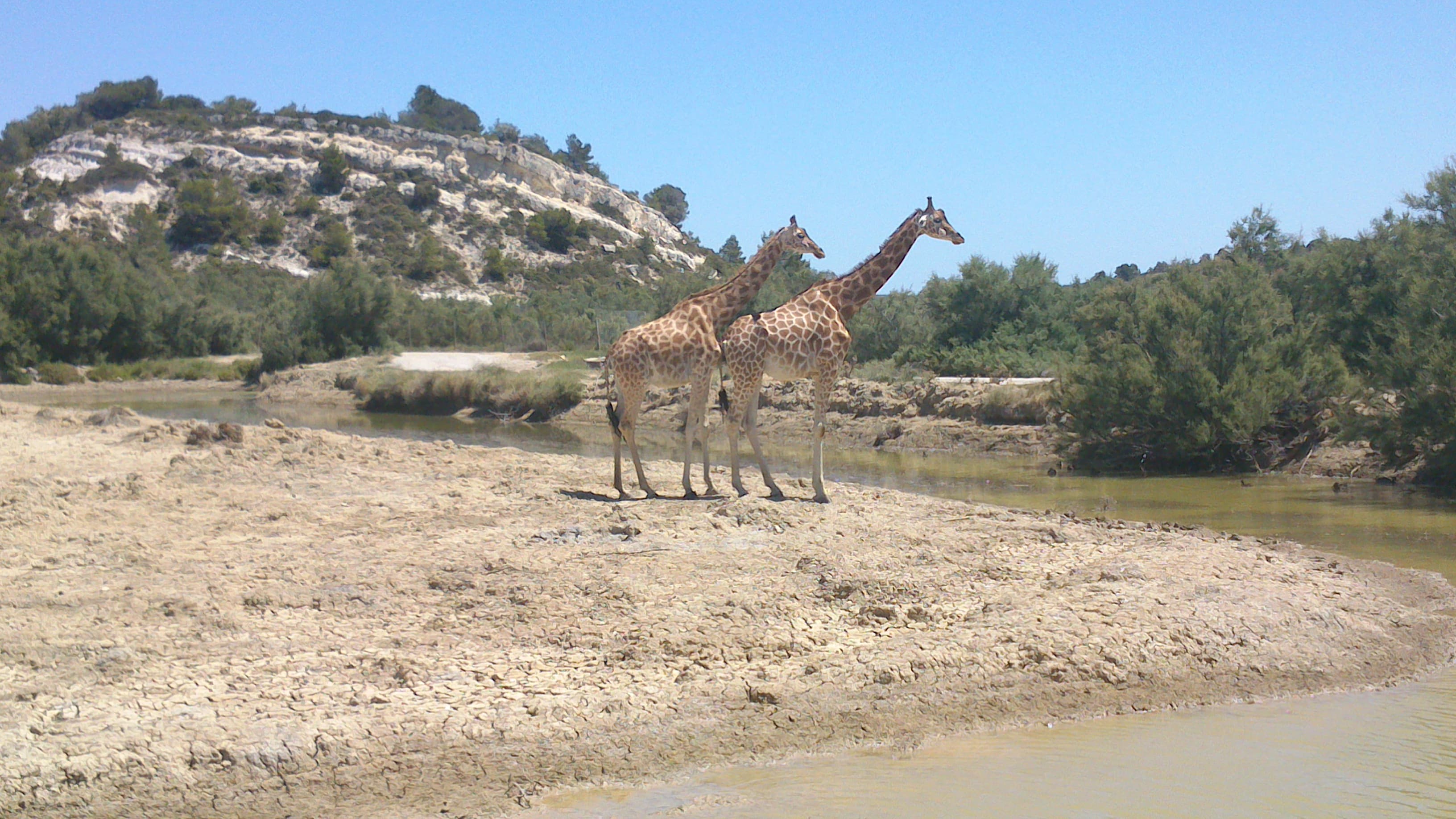 Réserve africaine de Sigean